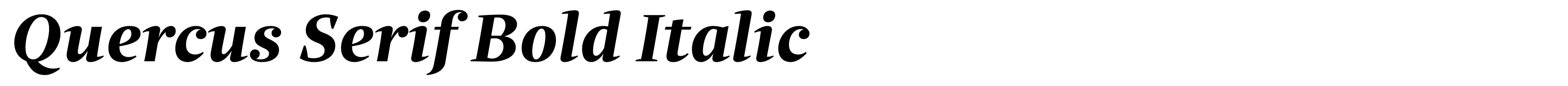 Quercus Serif Bold Italic